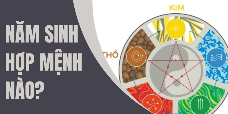 2017 mệnh gì? Giải mã tuổi Đinh Dậu hợp màu nào, hướng nào và tuổi nào theo phong thủy